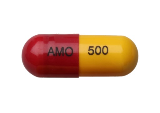 Amoxicillin: A Deep Dive into a Common Antibiotic Amoxicillin: A Deep Dive into a Common Antibiotic